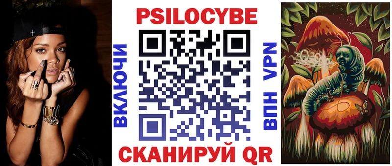 Псилоцибиновые грибы Cubensis  Купить  Алексеевка 